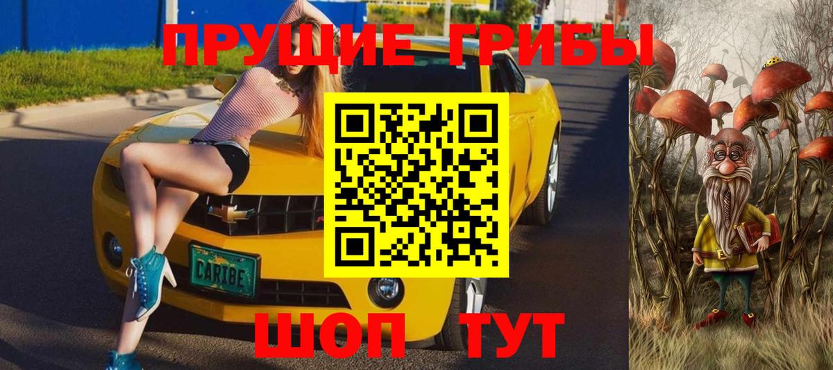 Галлюциногенные грибы прущие грибы  Вход с VPN  Галлюциногенные грибы мухоморы  магазин продажи наркотиков  Камышлов 